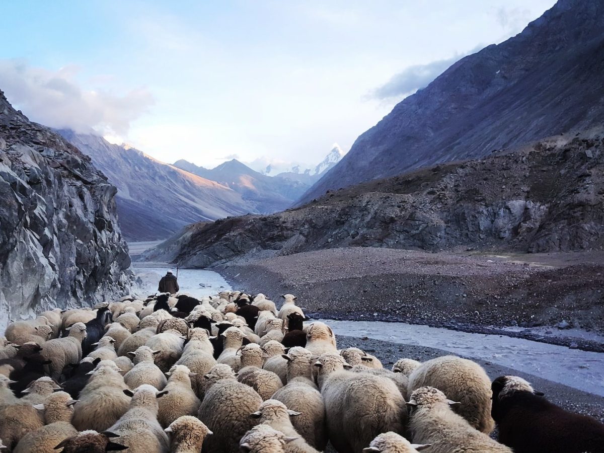 The Exodus of&nbsp;Jesus