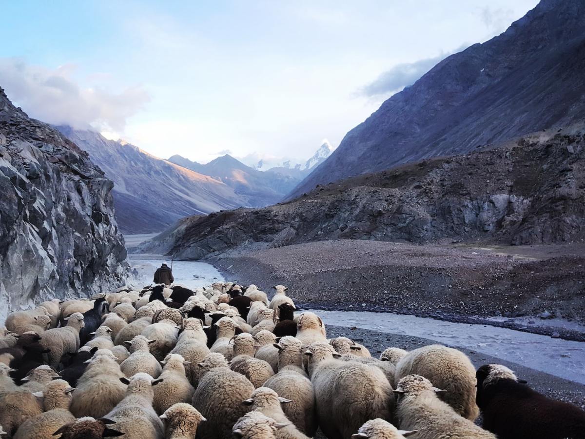 Popular Orthodoxy: A Quint of&nbsp;Quotes