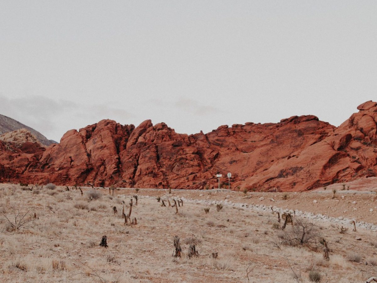 The Lord Cares Even for Your&nbsp;Wilderness