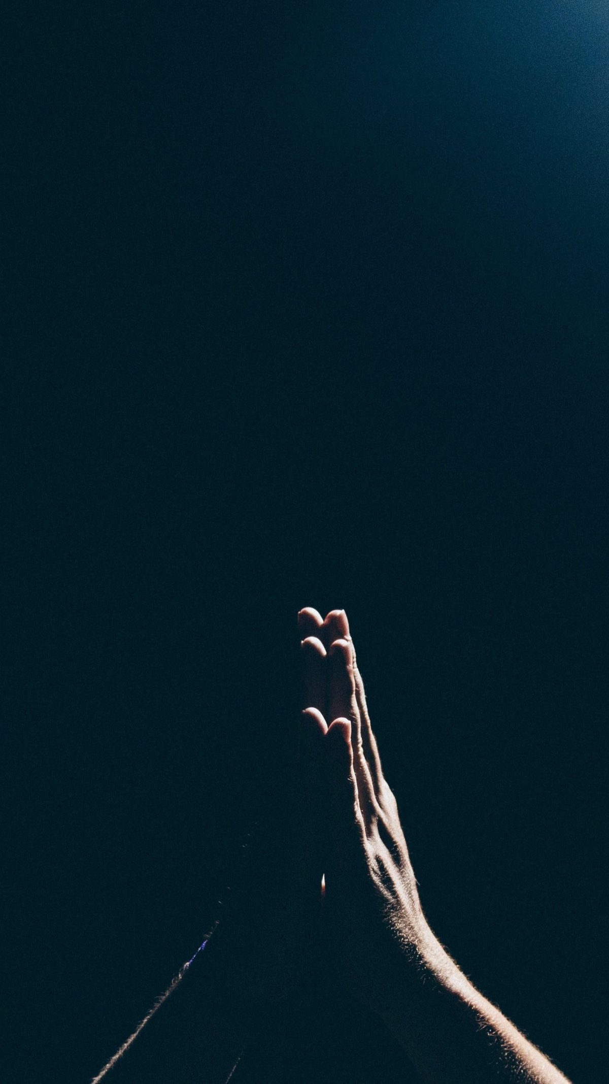 The Desires He Delights to&nbsp;Give