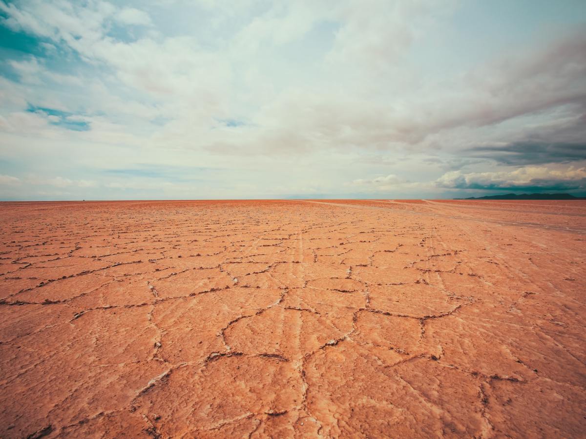 Beware the Bugblatter Beast of&nbsp;Traal