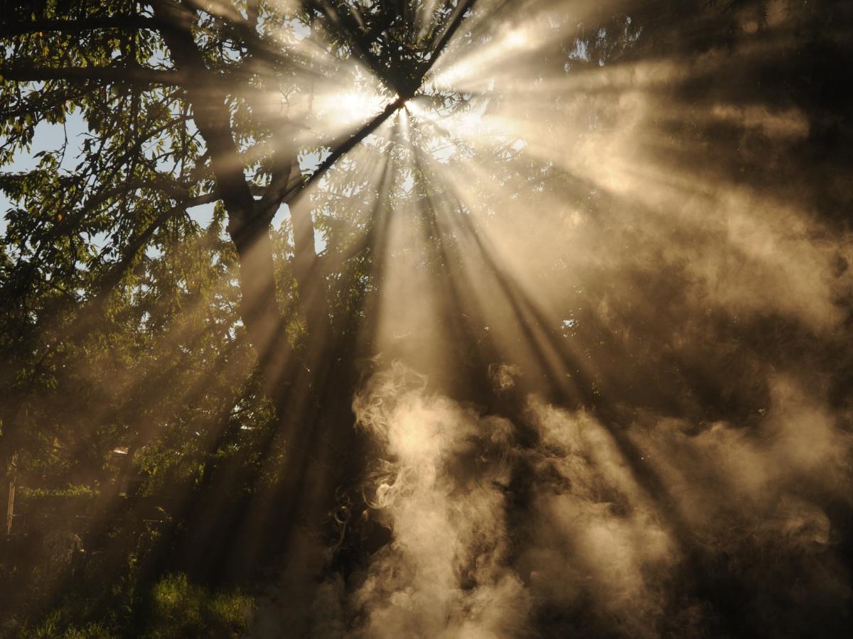 Pictures of Holiness and&nbsp;Grace