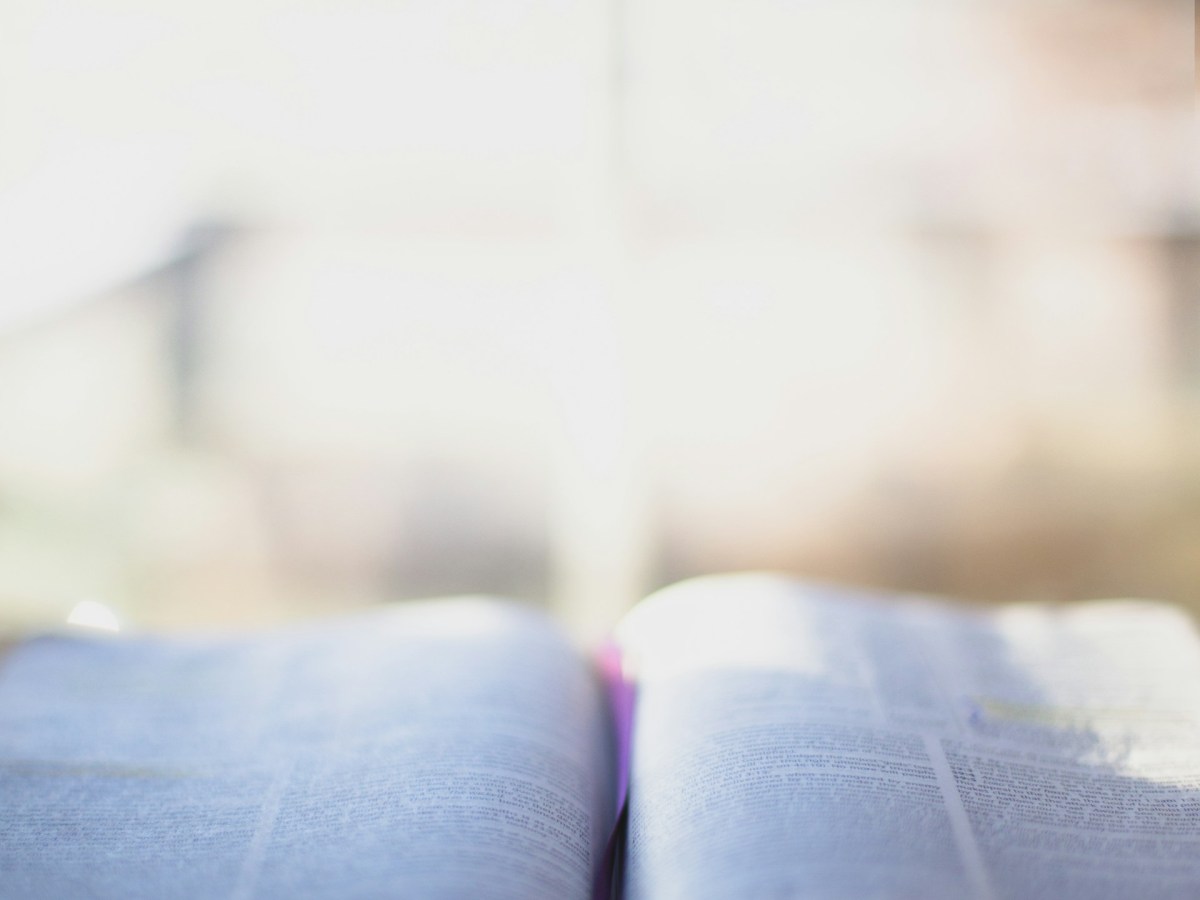 Daily Readings for February 2 –&nbsp;8