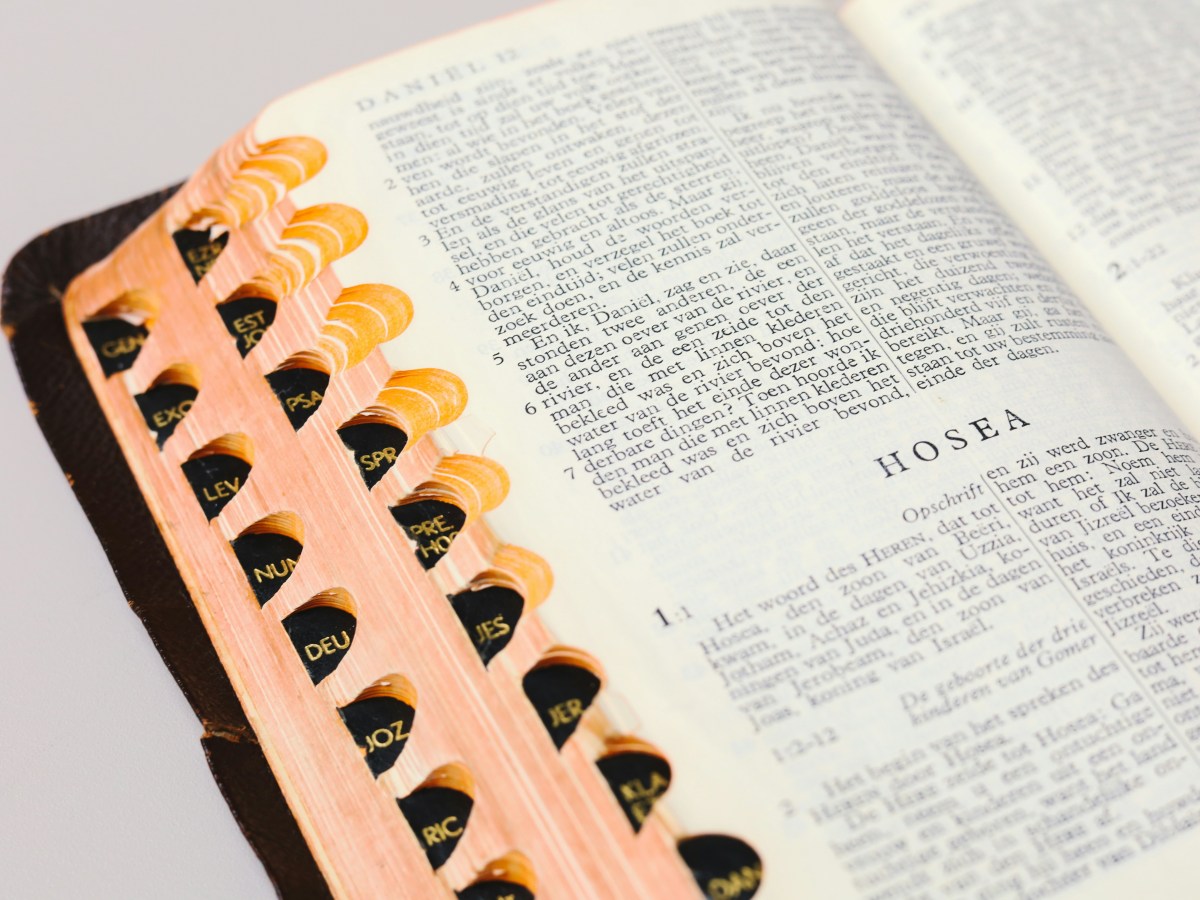 Daily Readings for August 3 –&nbsp;9