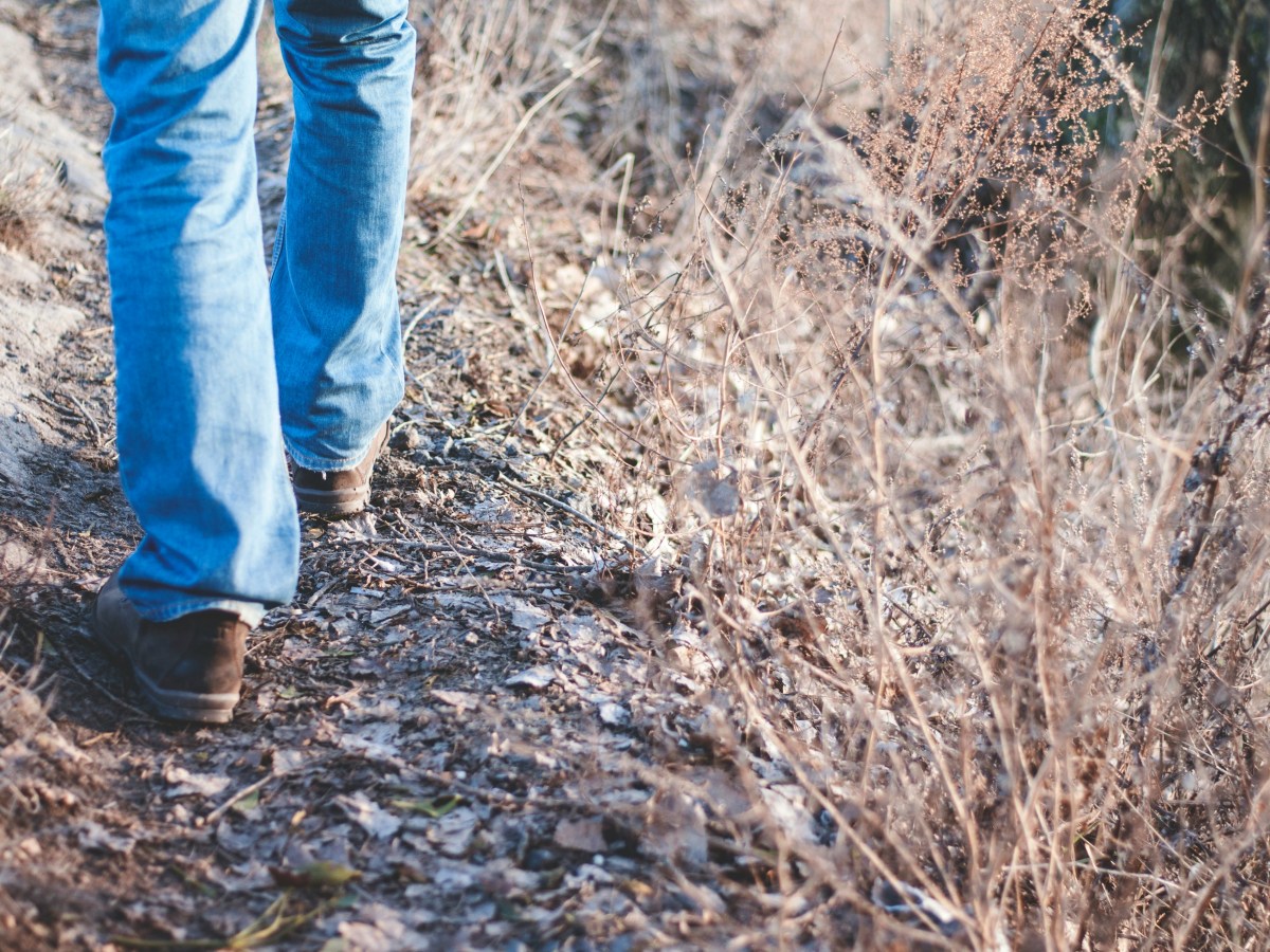 Time for a Change 2026 (2 of&nbsp;9)