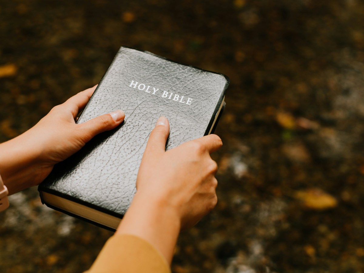 Daily Readings for August 24 –&nbsp;30